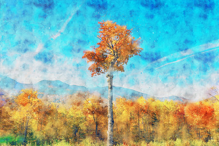 Watercolor Landscape Background Illustrationの写真素材
