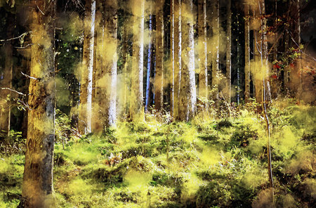 Watercolor Landscape Background Illustrationの写真素材