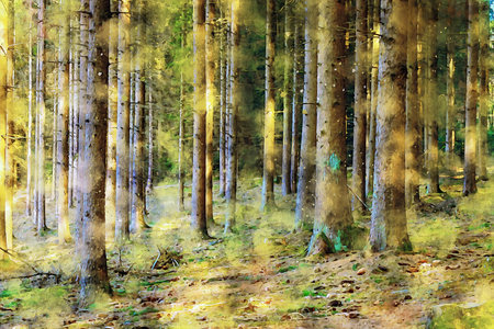 Watercolor Landscape Background Illustrationの写真素材