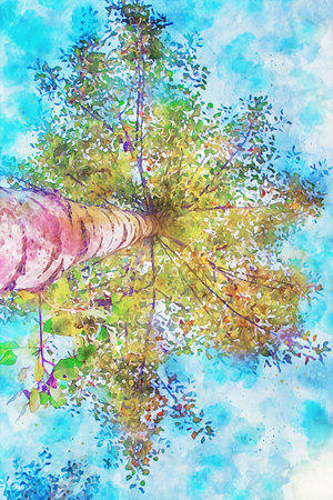 Watercolor Landscape Background Illustrationの写真素材