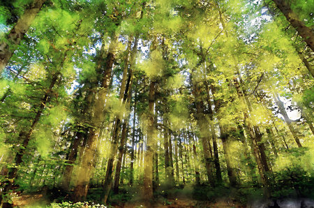 Watercolor Landscape Background Illustrationの写真素材