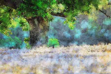 Watercolor Landscape Background Illustrationの写真素材