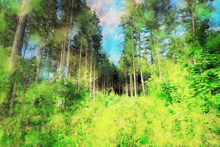 Watercolor Landscape Background Illustrationの写真素材