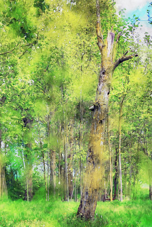 Watercolor Landscape Background Illustrationの写真素材