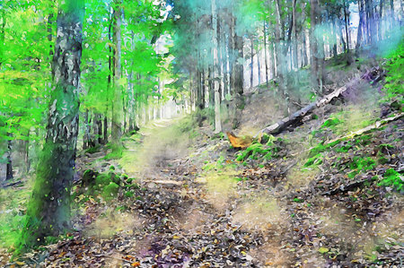 Watercolor Landscape Background Illustrationの写真素材
