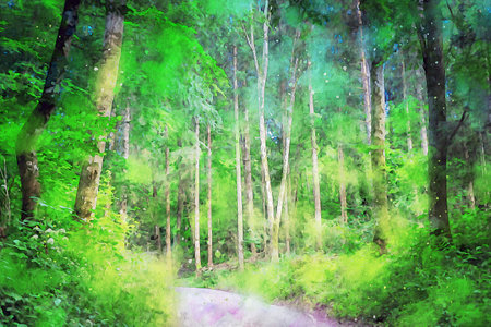 Watercolor Landscape Background Illustrationの写真素材