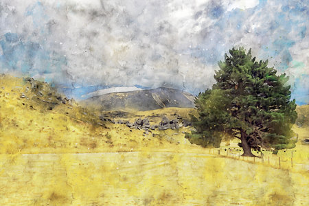 Watercolor Landscape Background Illustrationの写真素材