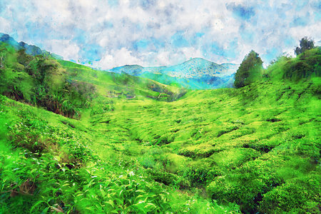 Watercolor Landscape Background Illustrationの写真素材