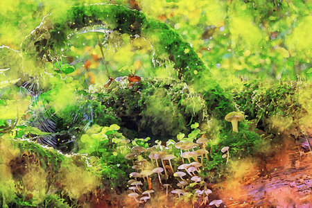 Watercolor Landscape Background Illustrationの写真素材