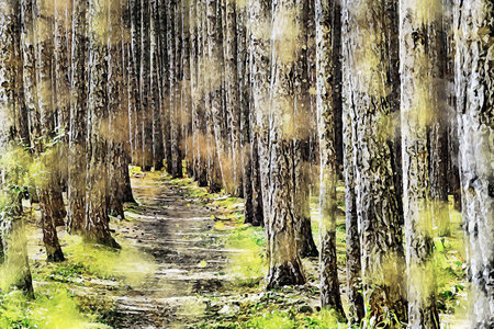 Watercolor Landscape Background Illustrationの写真素材