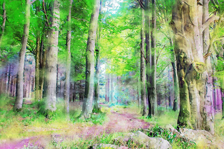 Watercolor Landscape Background Illustrationの写真素材