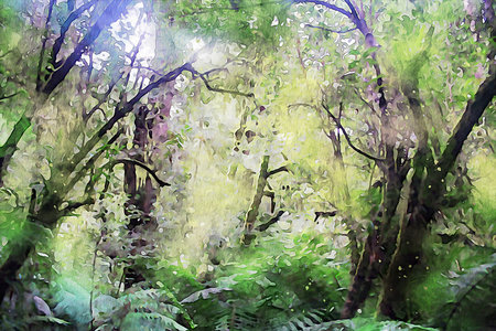 Watercolor Landscape Background Illustrationの写真素材