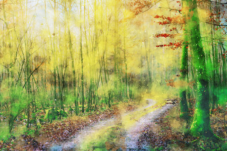 Watercolor Landscape Background Illustrationの写真素材