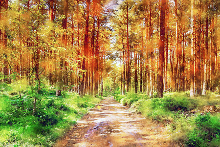 Watercolor Landscape Background Illustrationの写真素材