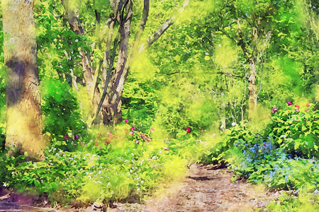 Watercolor Landscape Background Illustrationの写真素材