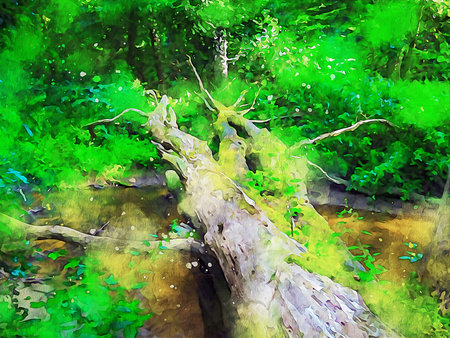 Watercolor Landscape Background Illustrationの写真素材