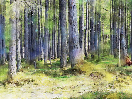 Watercolor Landscape Background Illustrationの写真素材