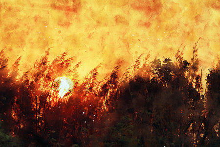Watercolor Landscape Background Illustrationの写真素材
