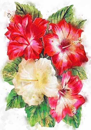 Flowers, watercolor illustration. Beautiful Flowers on a white background.の写真素材