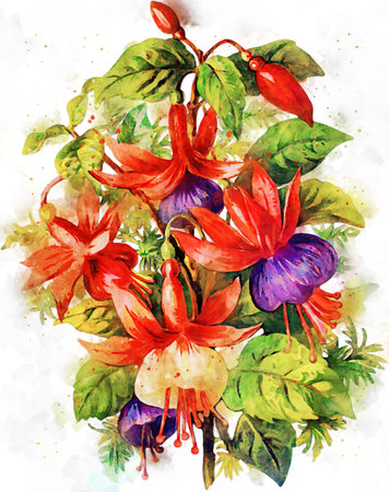 Flowers, watercolor illustration. Beautiful Flowers on a white background.の写真素材