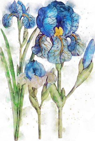 Flowers, watercolor illustration. Beautiful Flowers on a white background.の写真素材