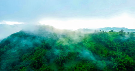 Amazing Nature Wallpaperの写真素材