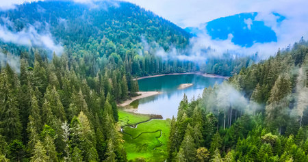 Amazing Nature Wallpaperの写真素材
