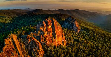 Amazing Nature Wallpaperの写真素材