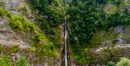 Amazing Nature Wallpaperの写真素材