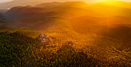 Amazing Nature Wallpaper