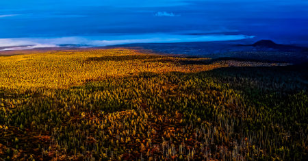 Amazing Nature Wallpaperの写真素材