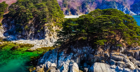 Amazing Nature Wallpaper