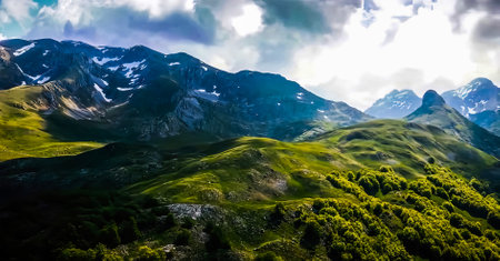 Amazing Nature Wallpaper