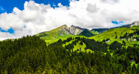 Amazing Nature Wallpaperの写真素材