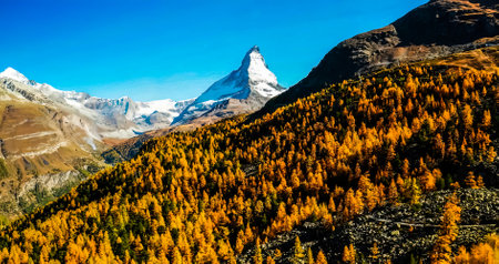 Amazing Nature Wallpaperの写真素材