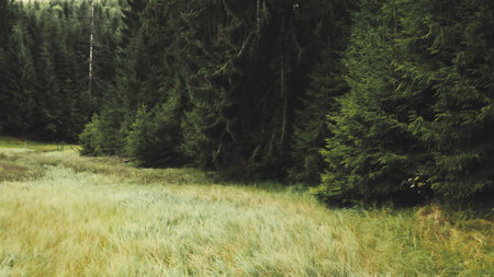 Amazing Nature Landscape Photography Wallpaperの写真素材