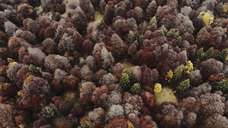 Amazing Nature Landscape Photography Wallpaper