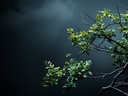 Black Background â Black Background Wallpaperの素材