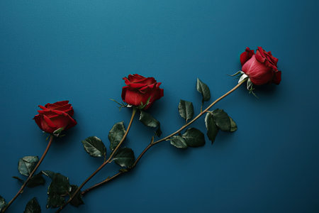 Three red roses with green leaves arranged diagonally on a blue background, creating a romantic and elegant floral still life with copy spaceの素材