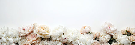 White and peach roses isolated on white background creating a soft floral border perfect for wedding invitations and elegant designs, isolated on white backgroundの素材