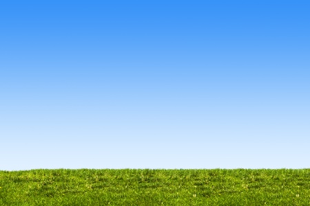 blue sky and grassの写真素材