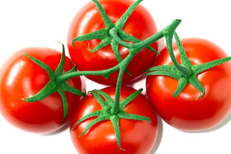 fresh tomatoesの写真素材