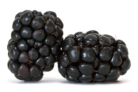 blackberries の写真素材