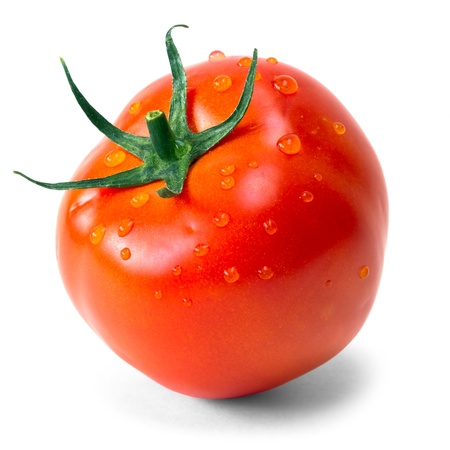 tomato over white backgroundの写真素材