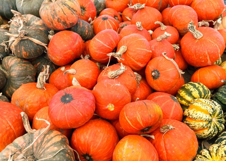 pumpkin arrangement for sale