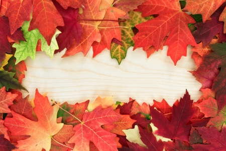 fall leafs on wooden boardの写真素材