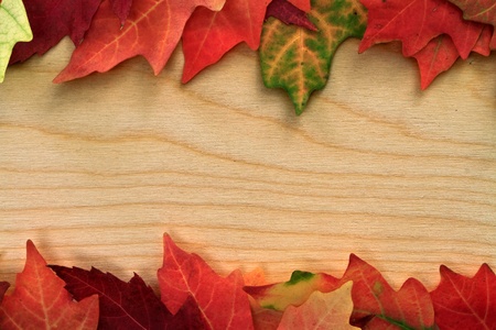 fall leafs on wooden boardの写真素材