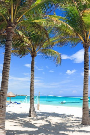 trapical beachの写真素材