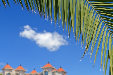 palm tree leaves over blue sky with view on vacation resortの写真素材