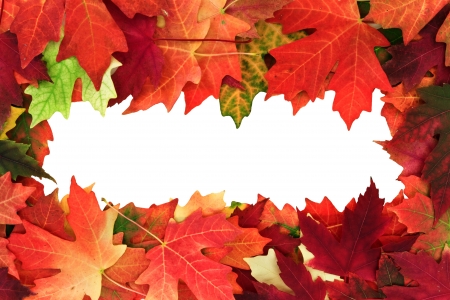 fall borderの写真素材